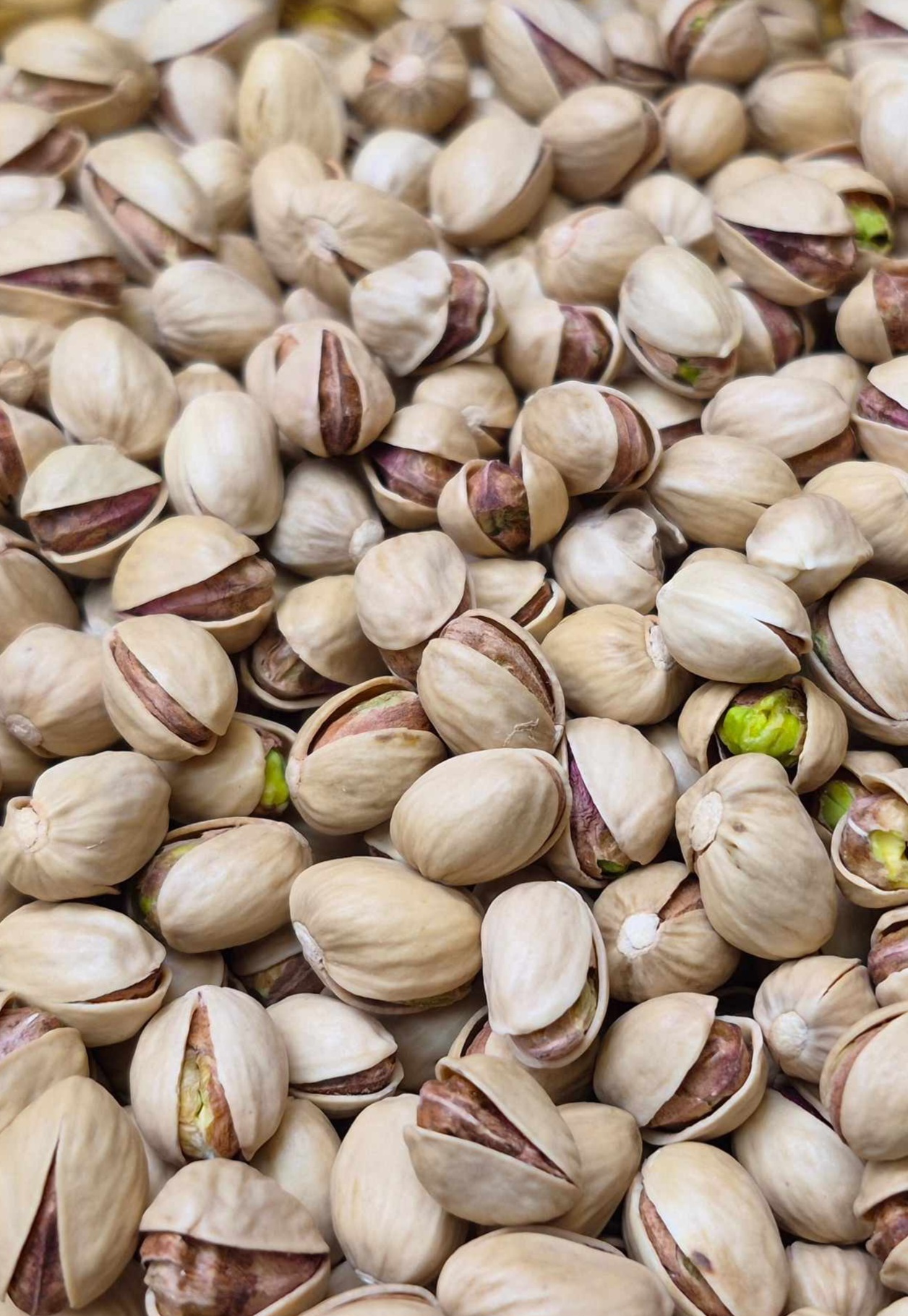 فروش مستقیم پسته فندقی ممتاز برای تجارت خشکبار + انتخابی مطمئن برای سفارشهای عمده